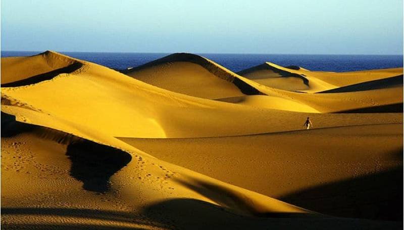The Dunes of Maspalomas