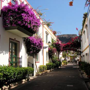 Excursion Puerto de Mogán and its market