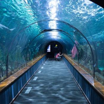 Poem of the Sea aquarium