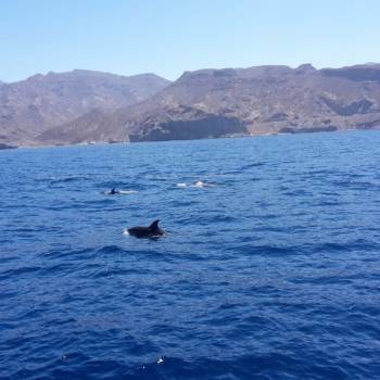 Catamaran Boat Trip Magic 3 