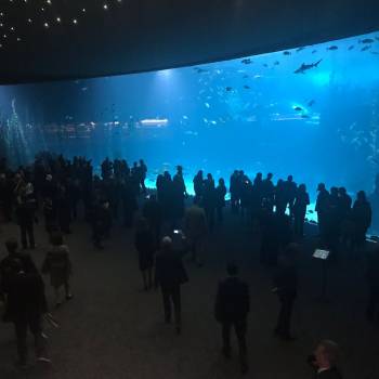Poem of the Sea aquarium