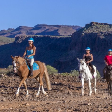 Horseback riding 