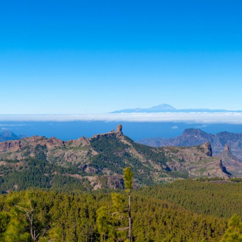 Excursion Gran Canaria Highlights