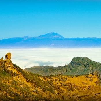 Excursion VIP Tour Gran Canaria