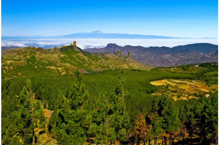 Excursion Gran Canaria Highlights