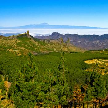 Excursion Gran Canaria Highlights