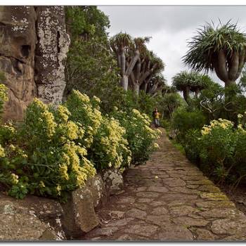 Las Palmas + Botanical Garden + Volcano