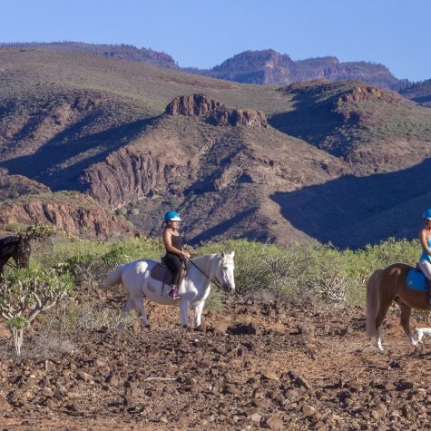 Horseback riding 