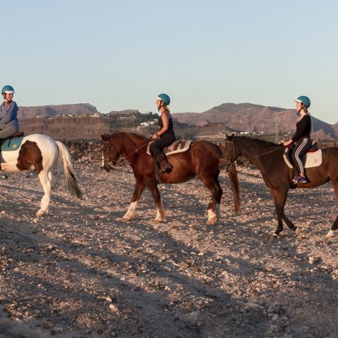 Horseback riding 