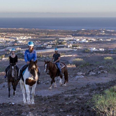 Horseback riding 