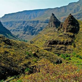 Excursion Gran Canaria Highlights