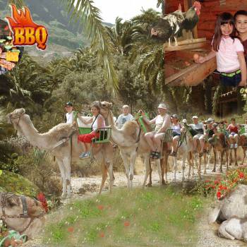 Camel Ride