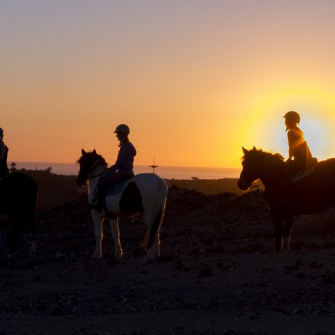 Horseback riding 