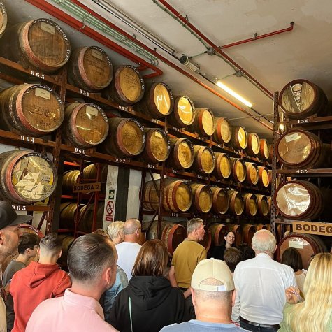 Premium Tour: Oil, Olives, Rum & Bananas