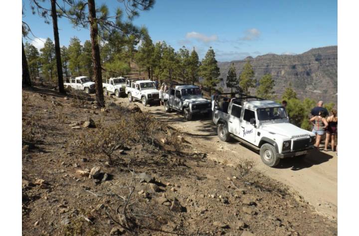 Jeep Safari 