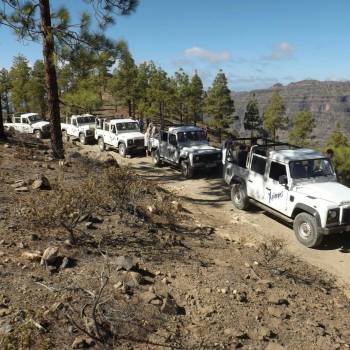 Jeep Safari 