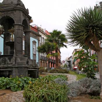 Las Palmas + Botanical Garden + Volcano